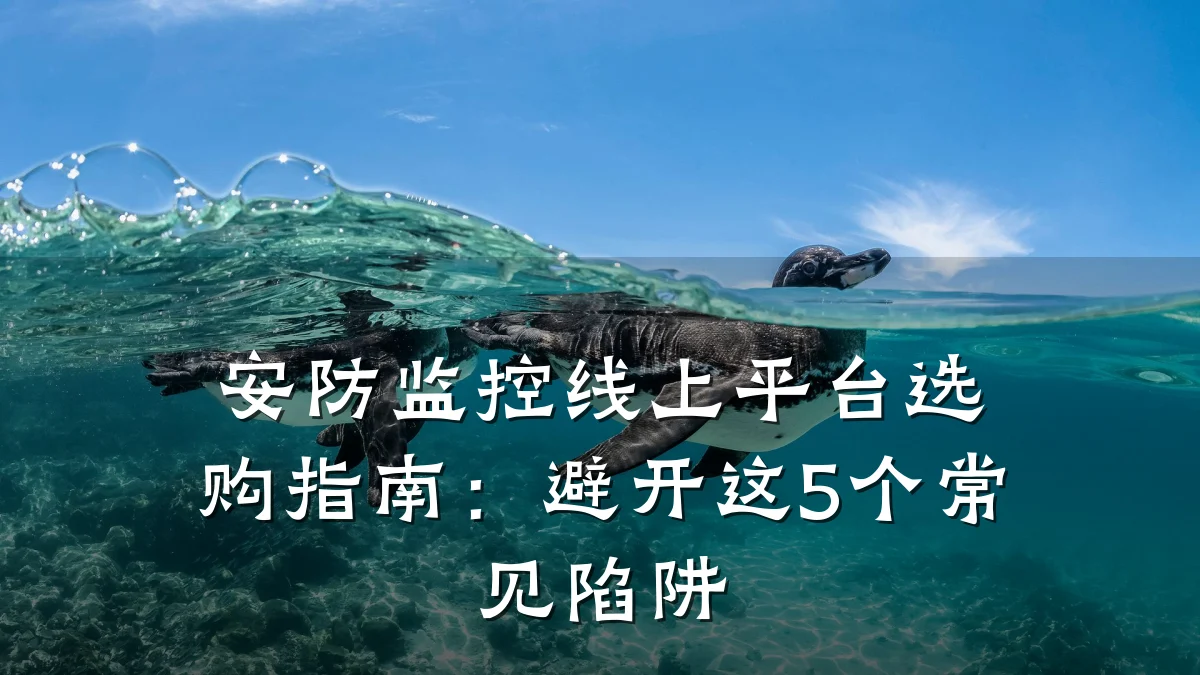 安防监控线上平台选购指南：避开这5个常见陷阱