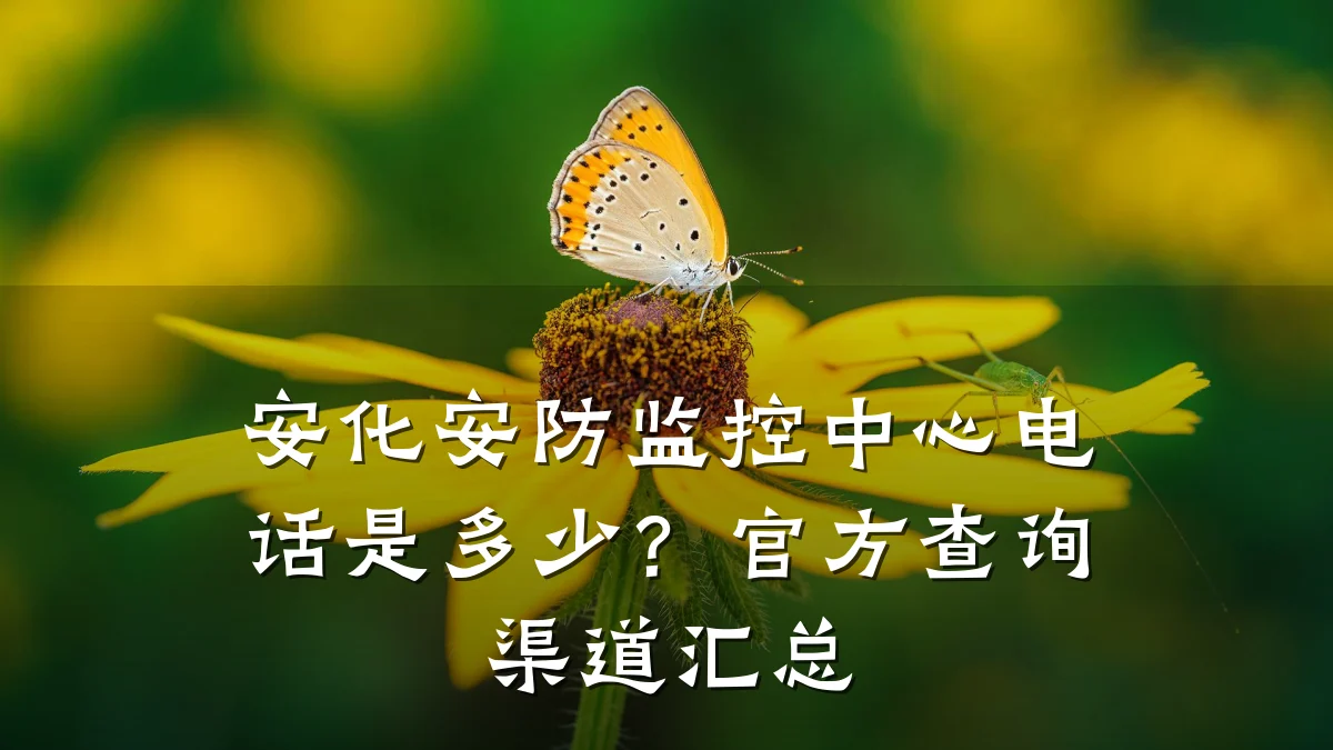 安化安防监控中心电话是多少?官方查询渠道汇总