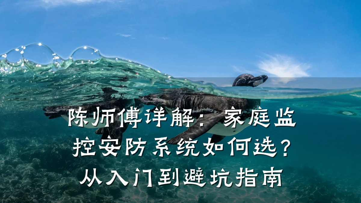 陈师傅详解:家庭监控安防系统如何选?从入门到避坑指南