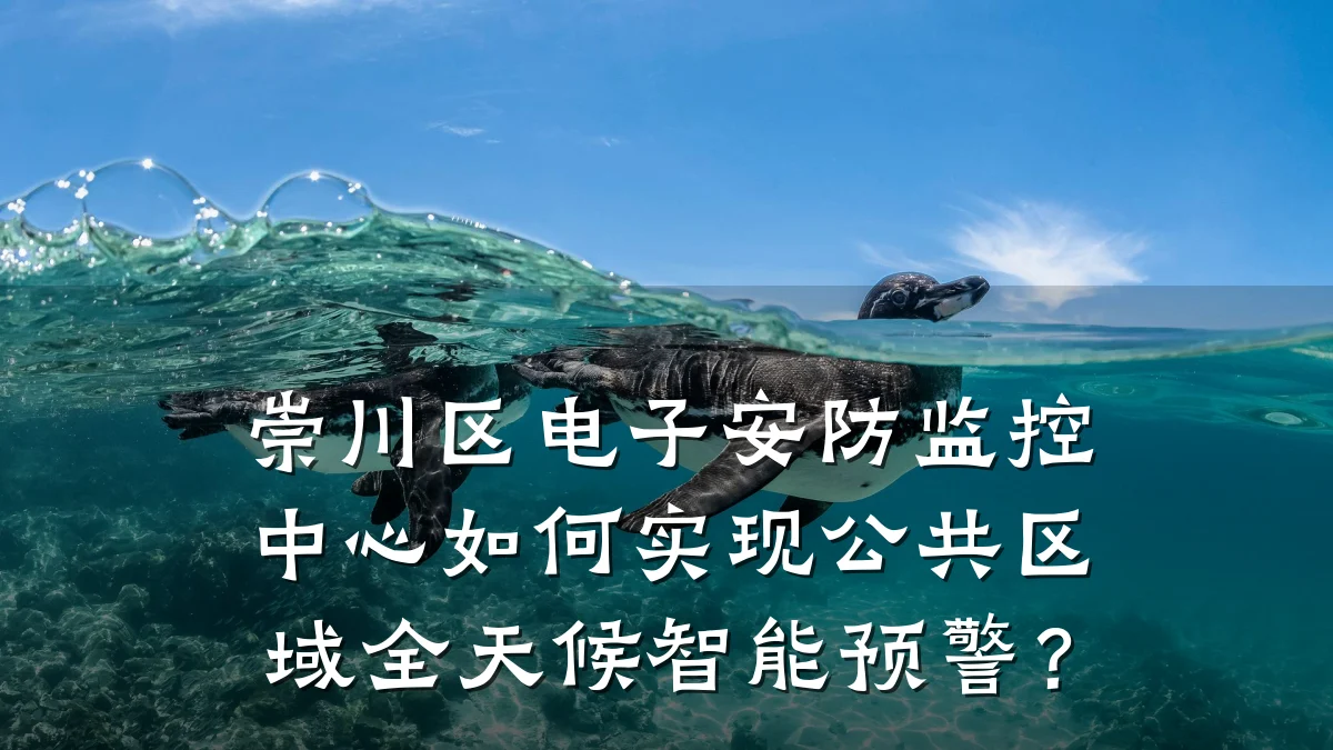 崇川区电子安防监控中心如何实现公共区域全天候智能预警？