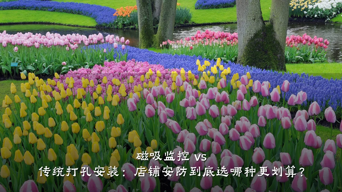 磁吸监控 vs 传统打孔安装:店铺安防到底选哪种更划算?