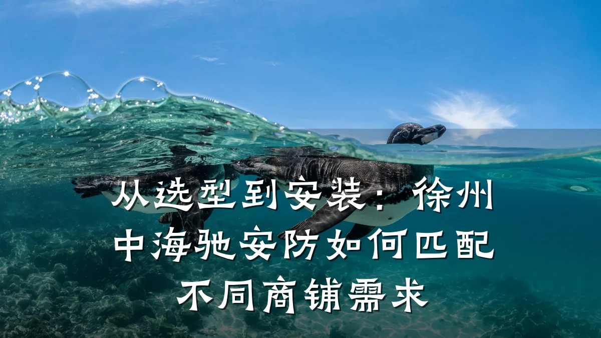 从选型到安装:徐州中海驰安防如何匹配不同商铺需求
