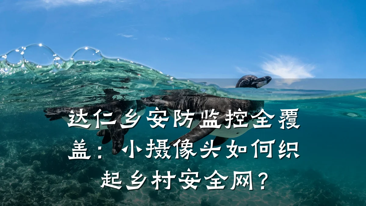达仁乡安防监控全覆盖:小摄像头如何织起乡村安全网?