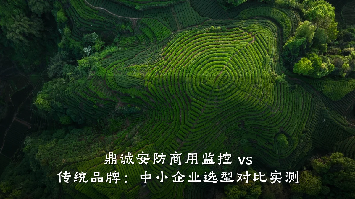 鼎诚安防商用监控 vs 传统品牌:中小企业选型对比实测