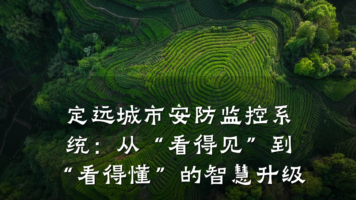 定远城市安防监控系统:从“看得见”到“看得懂”的智慧升级