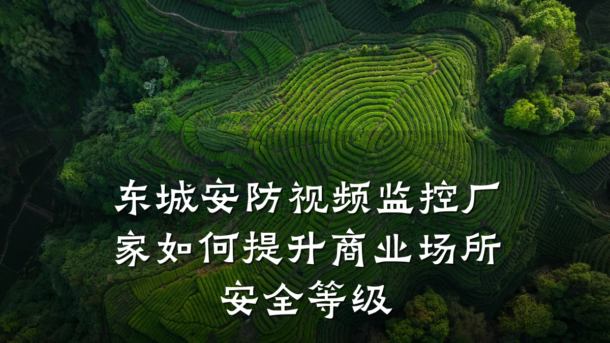 东城安防视频监控厂家如何提升商业场所安全等级