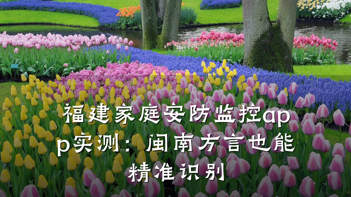 福建家庭安防监控app实测:闽南方言也能精准识别