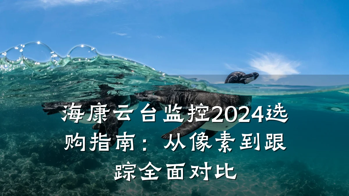 海康云台监控2024选购指南:从像素到跟踪全面对比