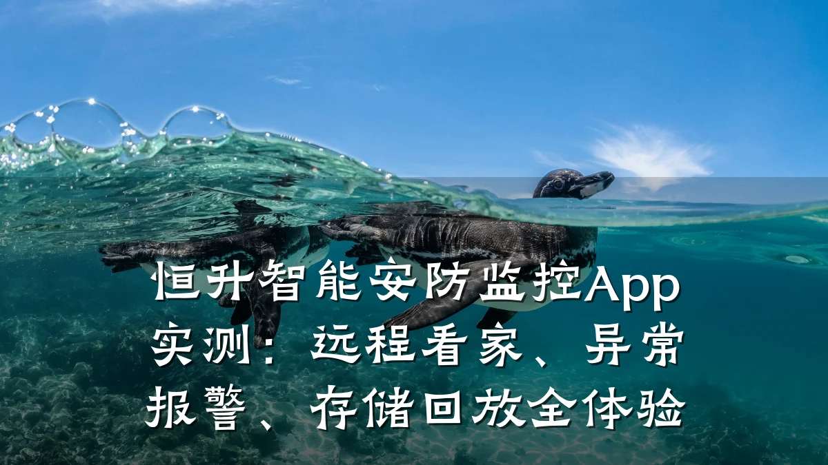 恒升智能安防监控App实测：远程看家、异常报警、存储回放全体验
