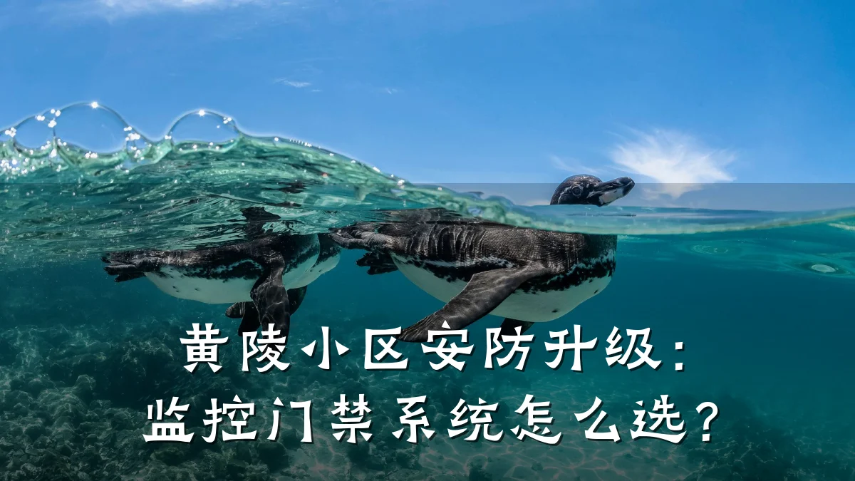 黄陵小区安防升级:监控门禁系统怎么选?