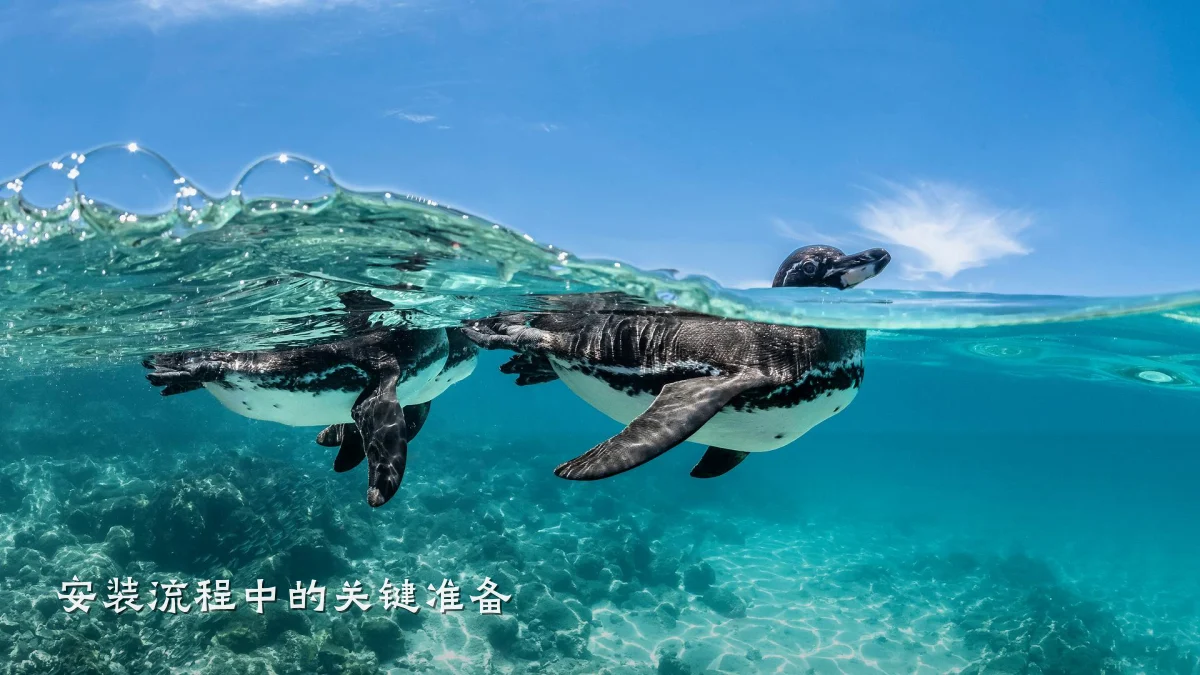 安装流程中的关键准备