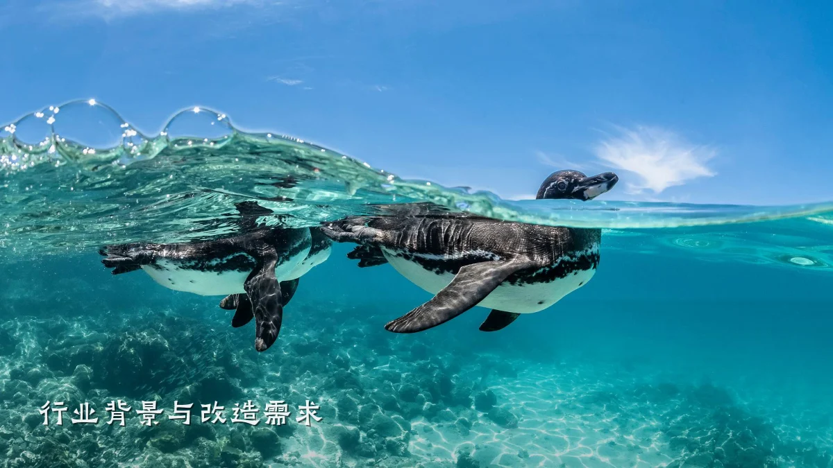 行业背景与改造需求