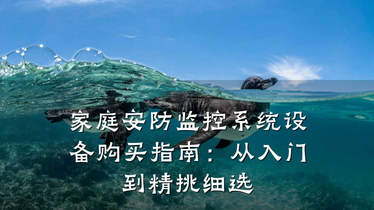 家庭安防监控系统设备购买指南:从入门到精挑细选