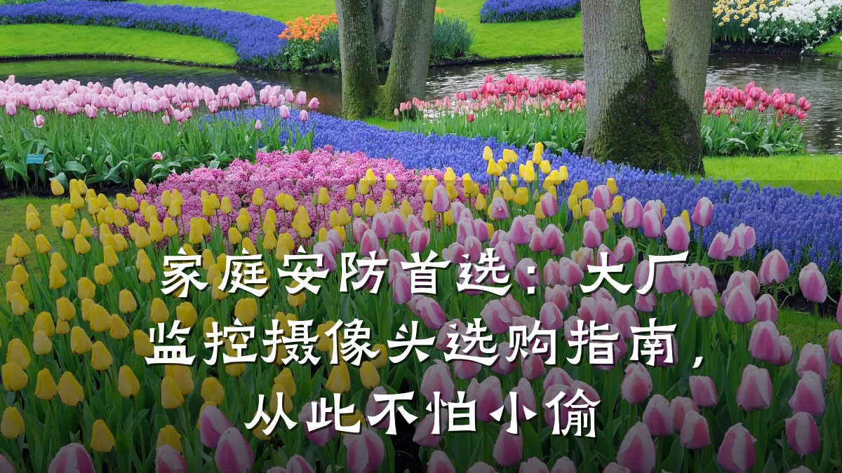 家庭安防首选:大厂监控摄像头选购指南,从此不怕小偷