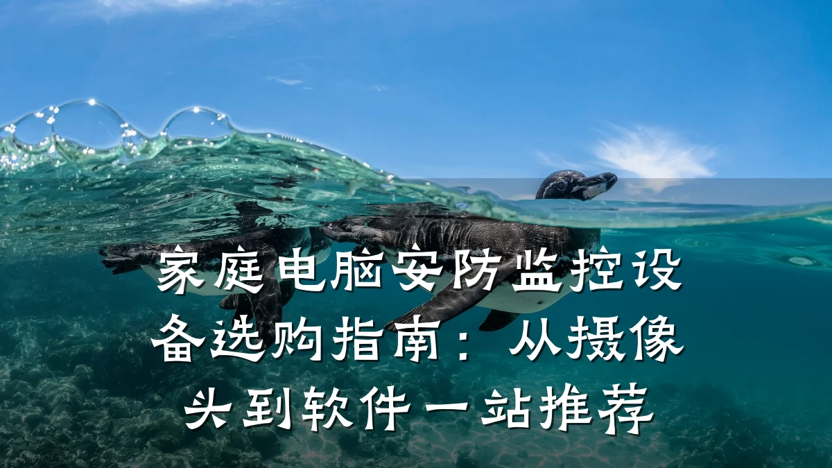 家庭电脑安防监控设备选购指南:从摄像头到软件一站推荐