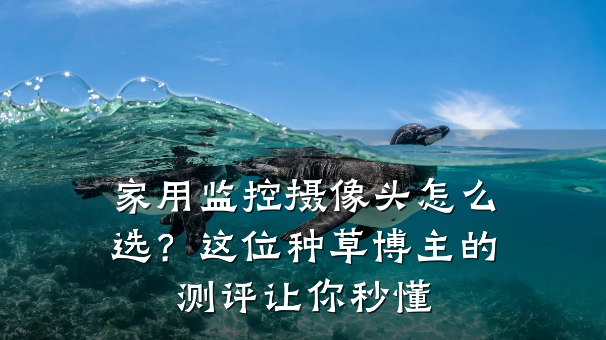 家用监控摄像头怎么选?这位种草博主的测评让你秒懂
