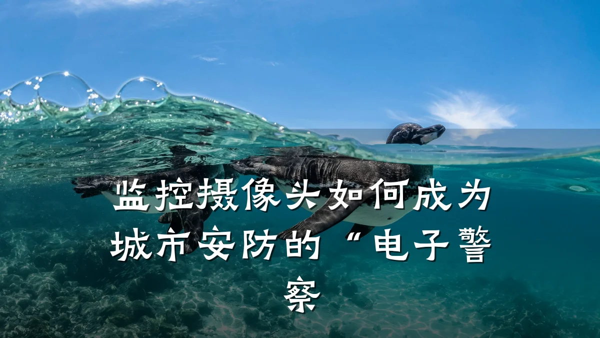 监控摄像头如何成为城市安防的“电子警察