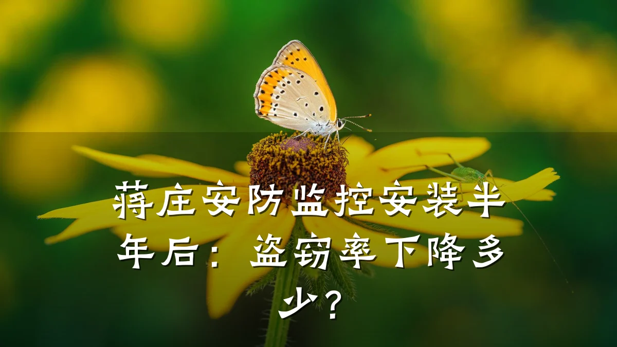 蒋庄安防监控安装半年后:盗窃率下降多少?