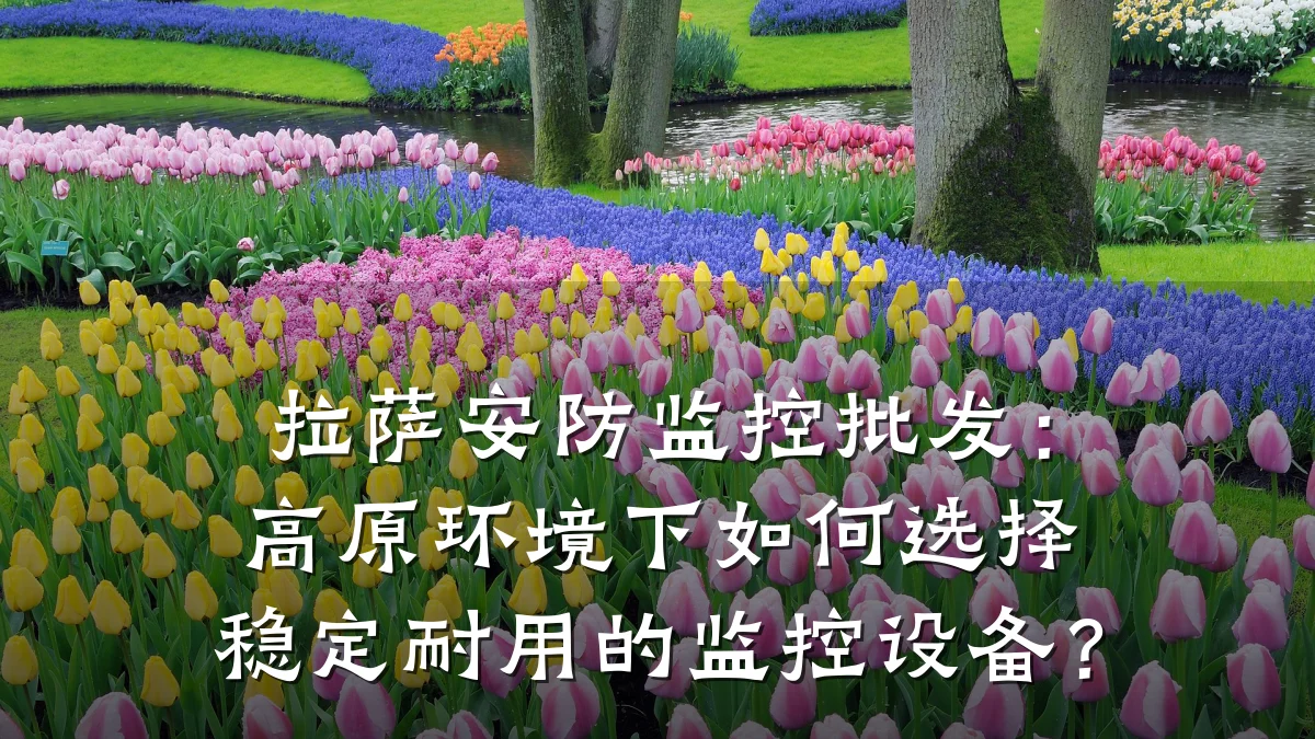 拉萨安防监控批发:高原环境下如何选择稳定耐用的监控设备?
