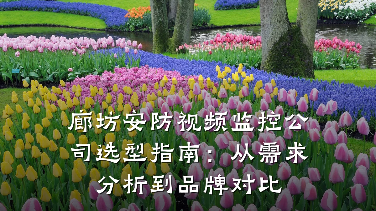 廊坊安防视频监控公司选型指南:从需求分析到品牌对比