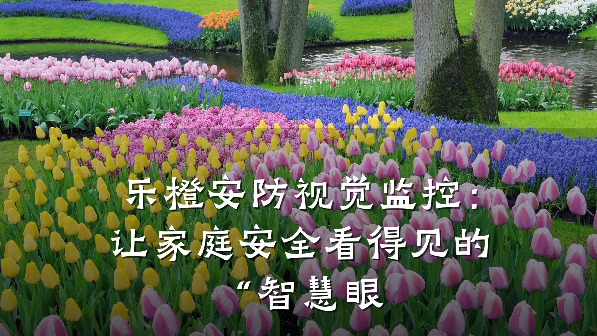 乐橙安防视觉监控:让家庭安全看得见的“智慧眼