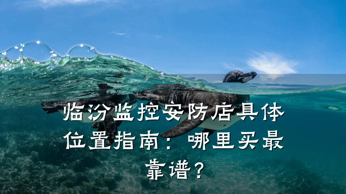 临汾监控安防店具体位置指南:哪里买最靠谱?