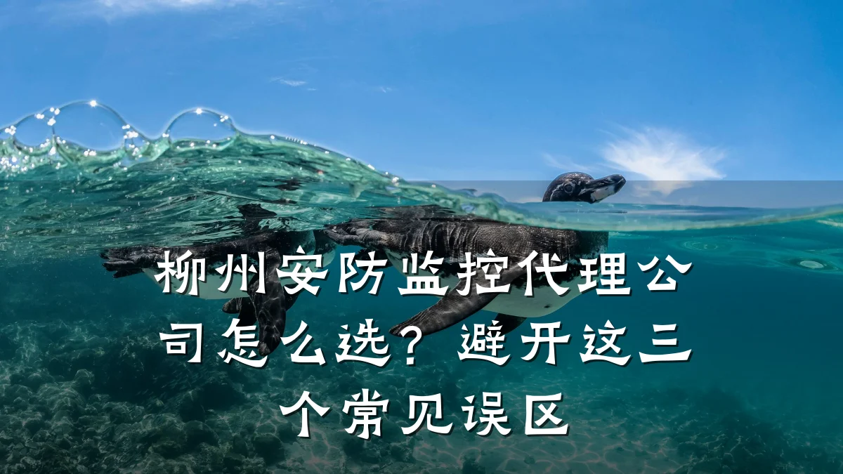 柳州安防监控代理公司怎么选?避开这三个常见误区