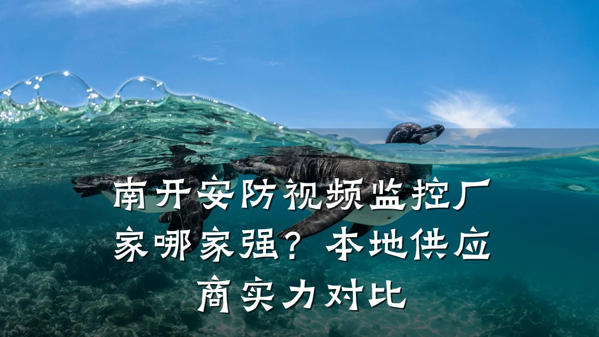 南开安防视频监控厂家哪家强?本地供应商实力对比
