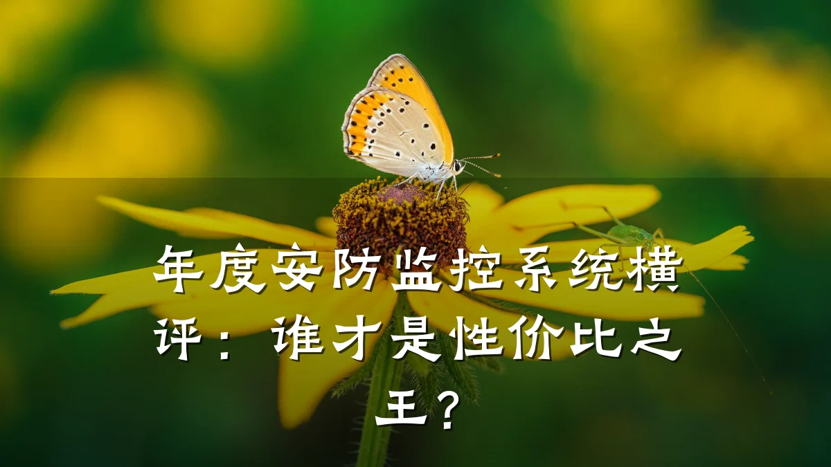 年度安防监控系统横评：谁才是性价比之王？