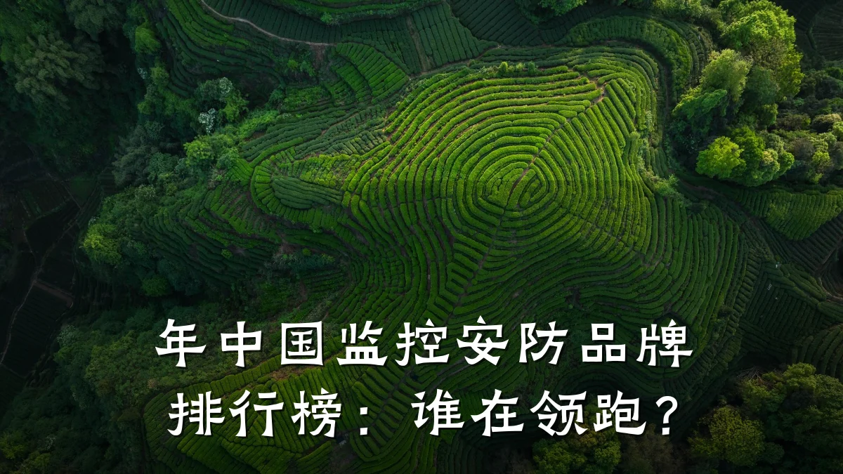 年中国监控安防品牌排行榜:谁在领跑?
