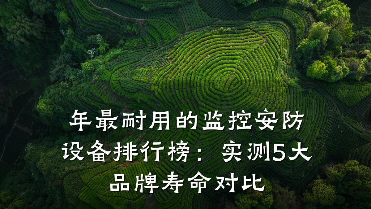 年最耐用的监控安防设备排行榜：实测5大品牌寿命对比