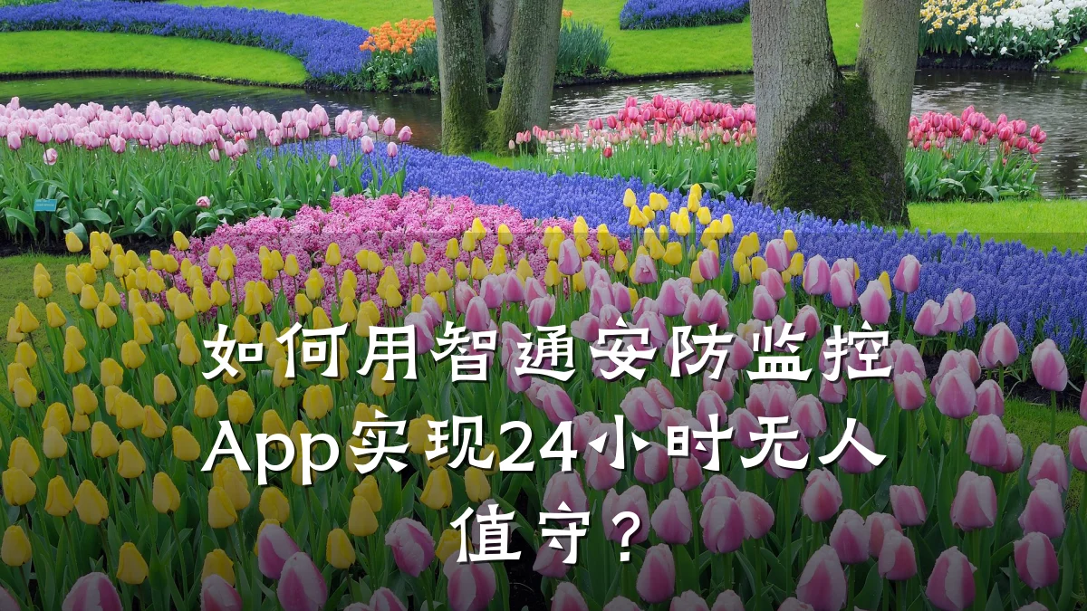 如何用智通安防监控App实现24小时无人值守？