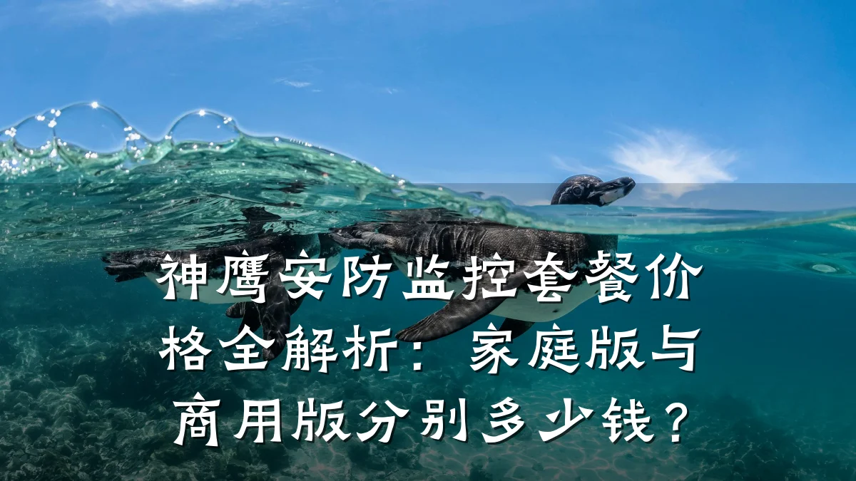 神鹰安防监控套餐价格全解析：家庭版与商用版分别多少钱？