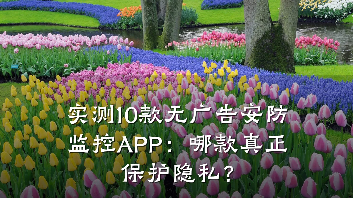 实测10款无广告安防监控APP:哪款真正保护隐私?