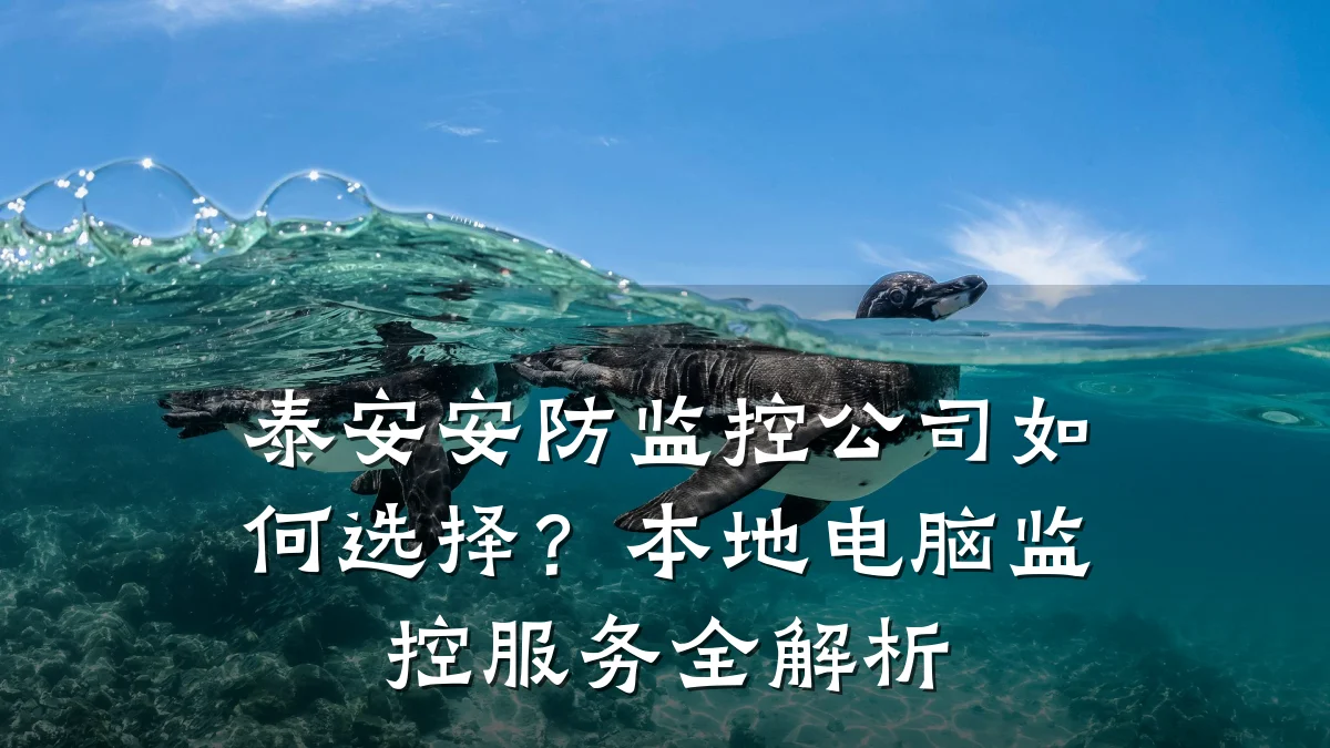 泰安安防监控公司如何选择?本地电脑监控服务全解析