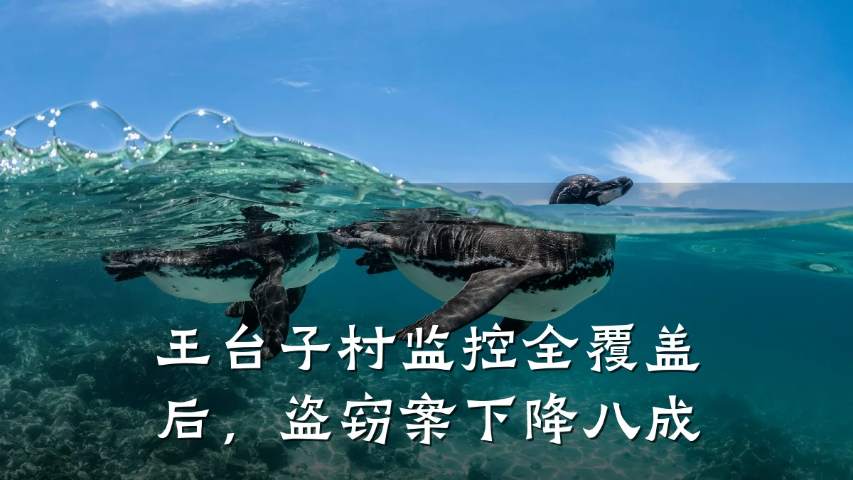 王台子村监控全覆盖后,盗窃案下降八成