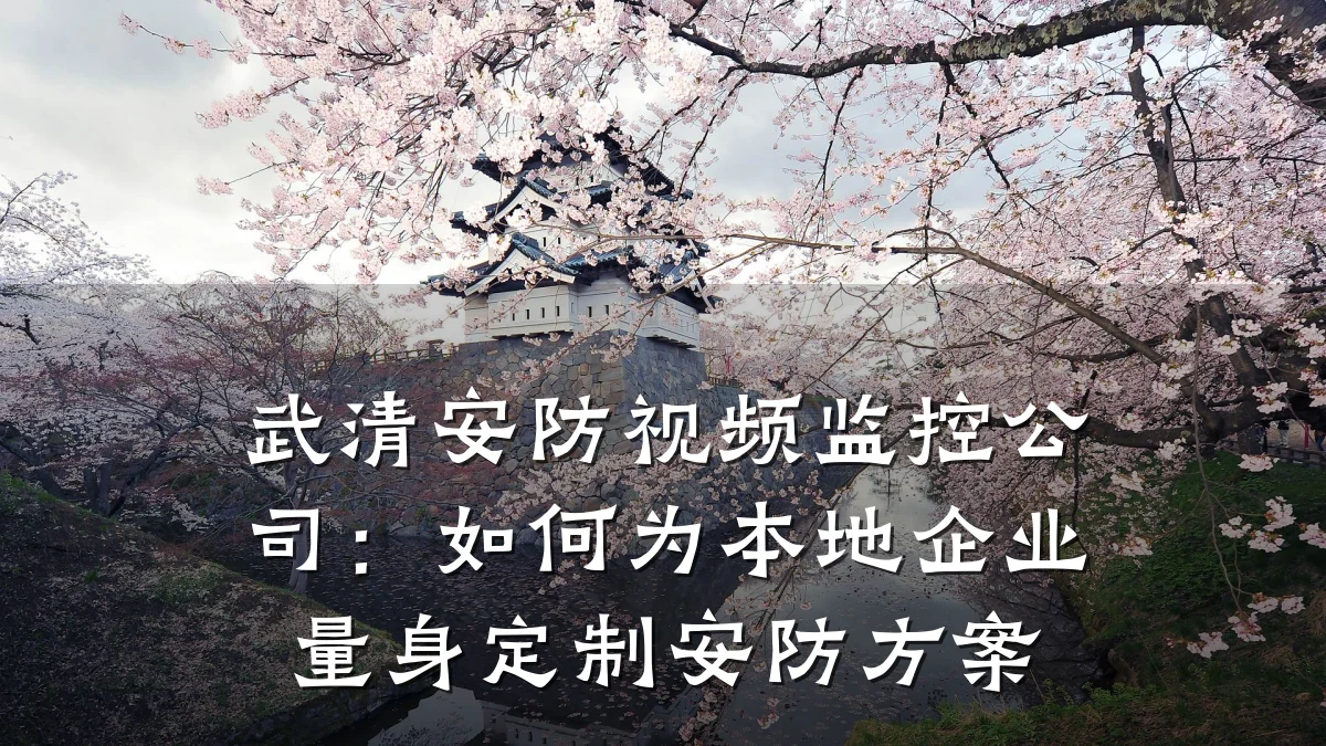 武清安防视频监控公司:如何为本地企业量身定制安防方案