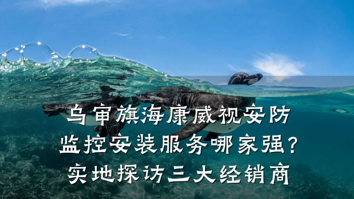 乌审旗海康威视安防监控安装服务哪家强?实地探访三大经销商