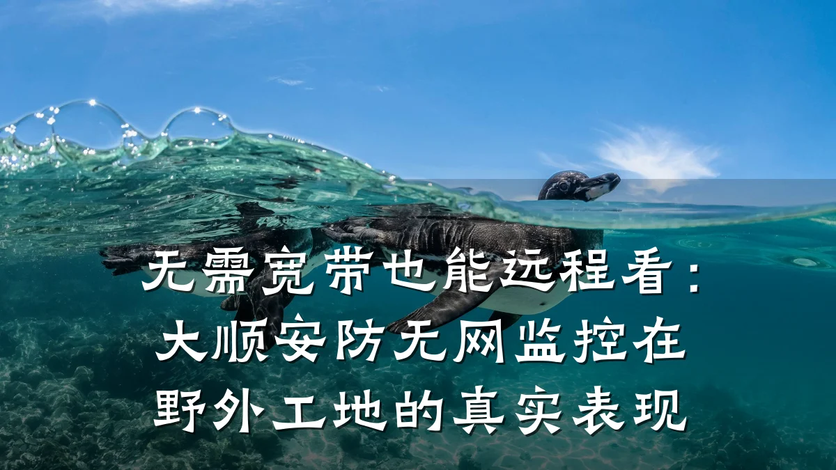 无需宽带也能远程看:大顺安防无网监控在野外工地的真实表现