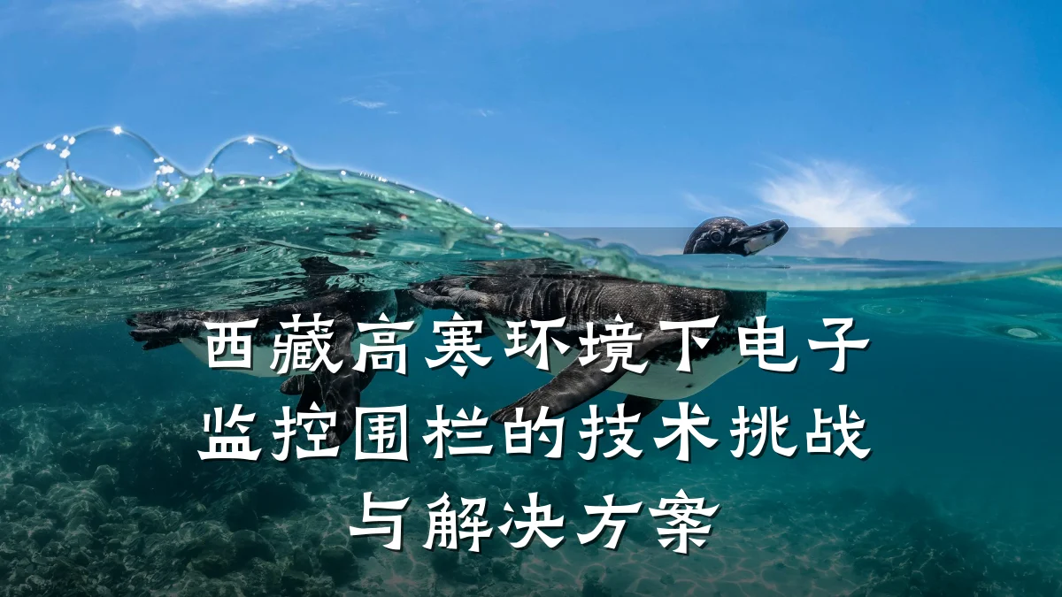 西藏高寒环境下电子监控围栏的技术挑战与解决方案