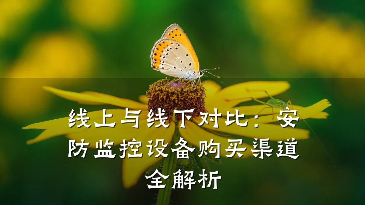 线上与线下对比:安防监控设备购买渠道全解析