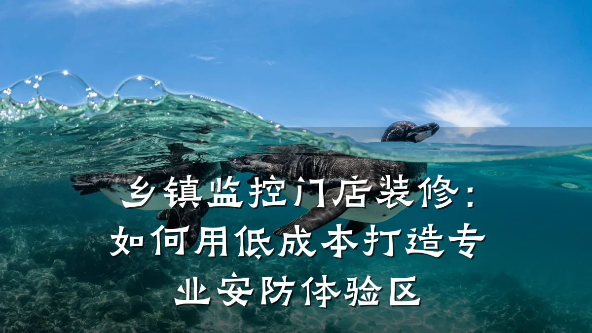 乡镇监控门店装修:如何用低成本打造专业安防体验区