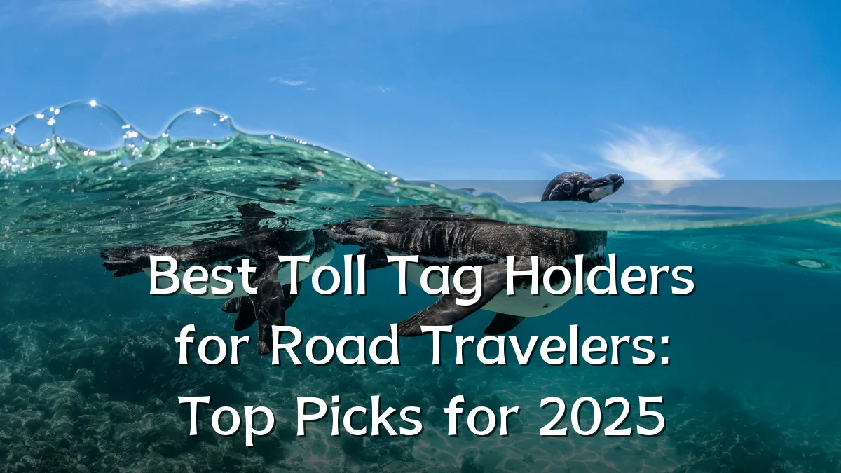 Best Toll Tag Holders for Road Travelers: Top Picks for 2025