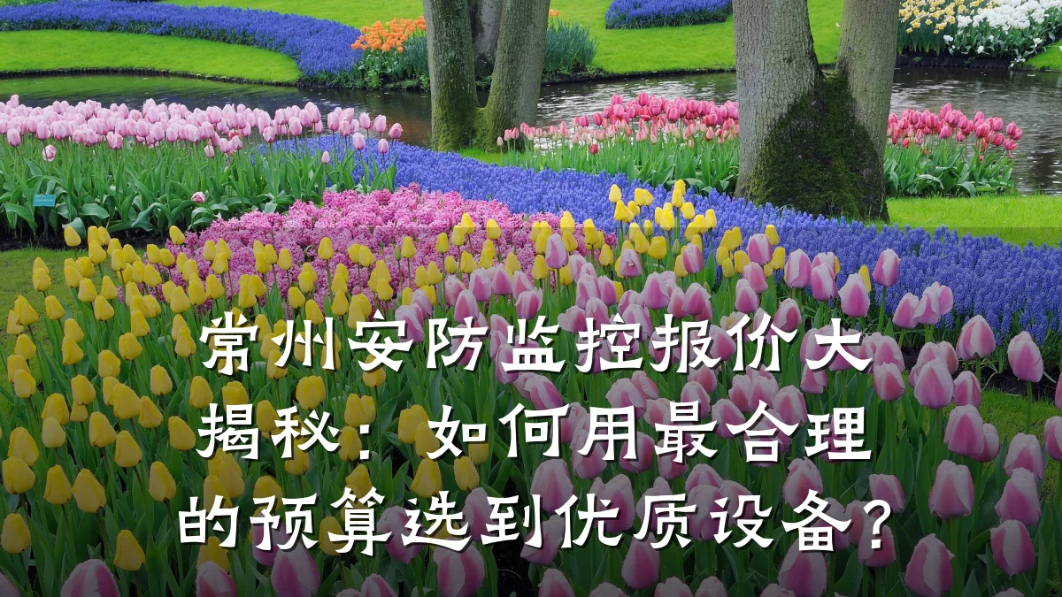 常州安防监控报价大揭秘:如何用最合理的预算选到优质设备?