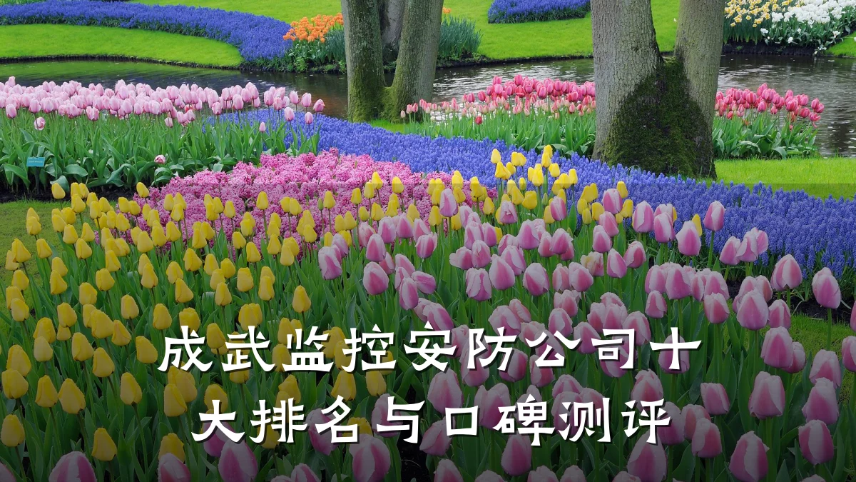 成武监控安防公司十大排名与口碑测评