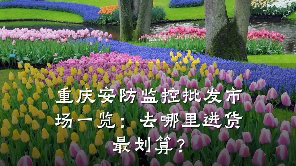 重庆安防监控批发市场一览：去哪里进货最划算？