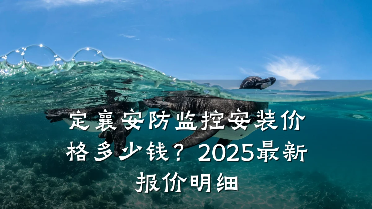 定襄安防监控安装价格多少钱?2025最新报价明细
