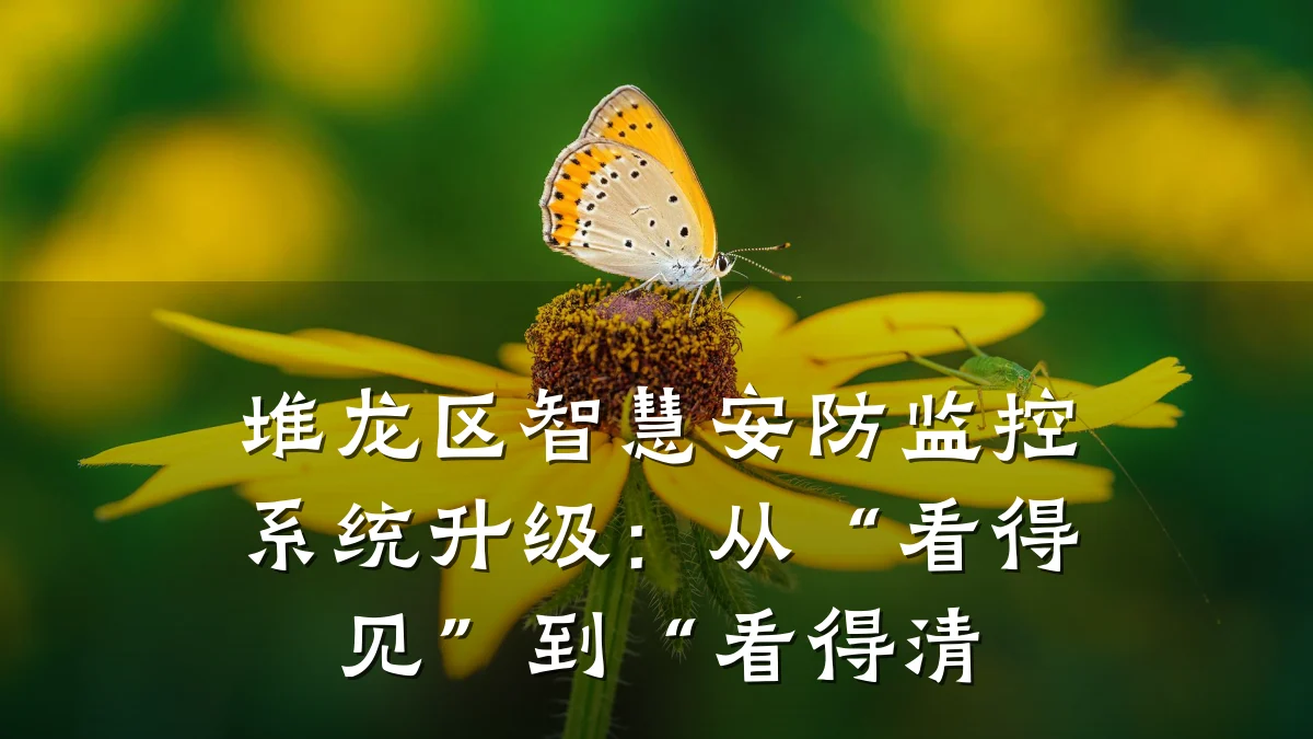 堆龙区智慧安防监控系统升级：从“看得见”到“看得清