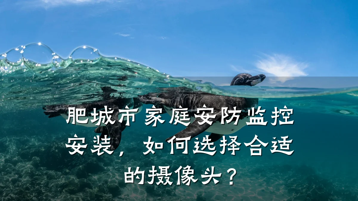 肥城市家庭安防监控安装,如何选择合适的摄像头?