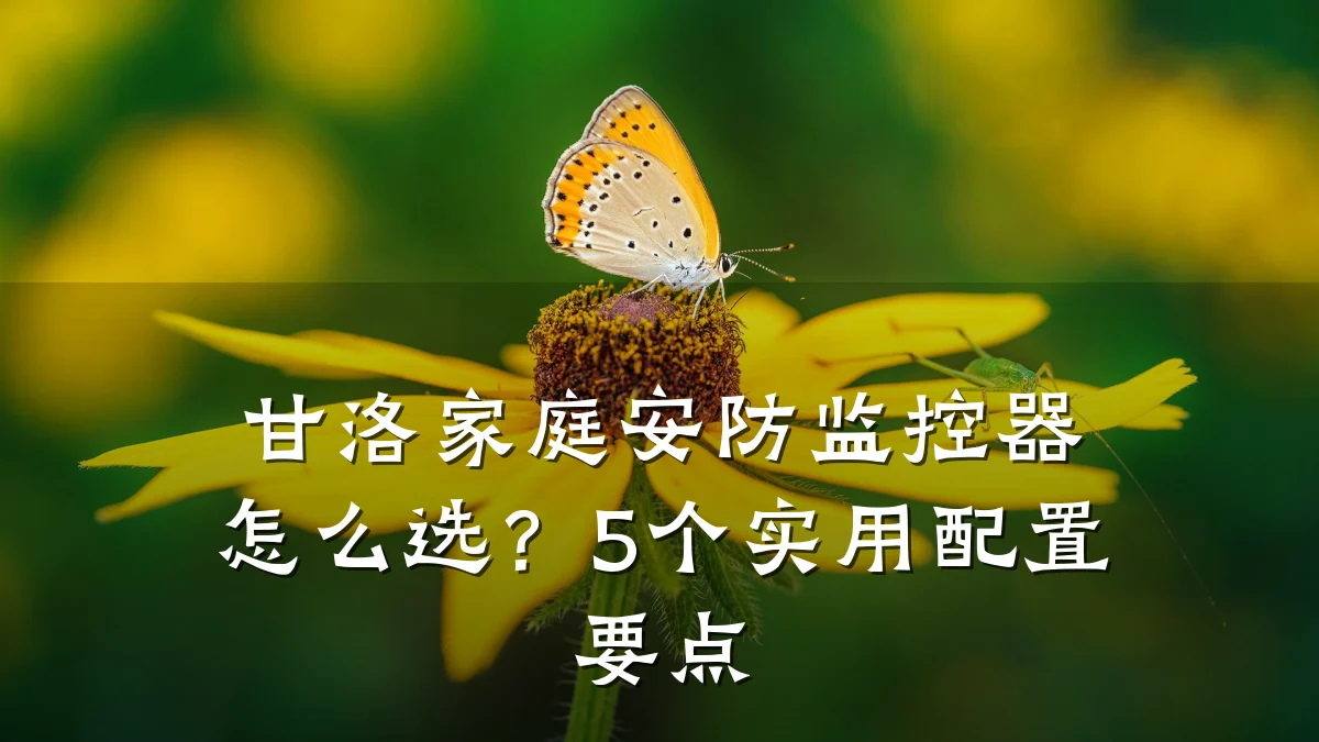 甘洛家庭安防监控器怎么选?5个实用配置要点